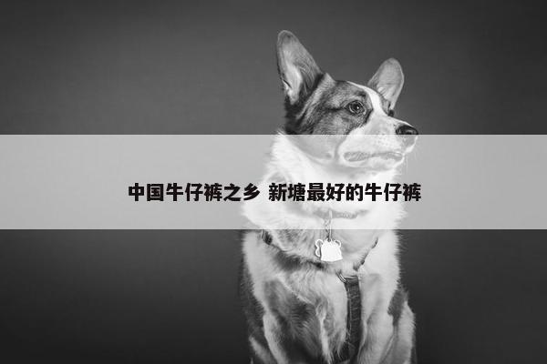 中国牛仔裤之乡 新塘最好的牛仔裤