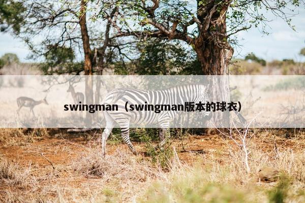 swingman（swingman版本的球衣）