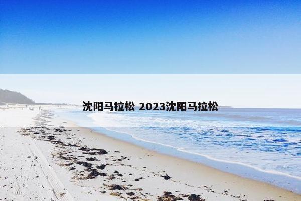 沈阳马拉松 2023沈阳马拉松