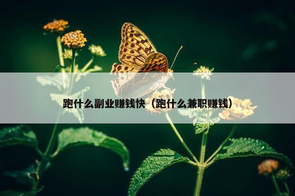 跑什么副业赚钱快（跑什么兼职赚钱）