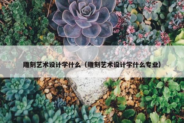 雕刻艺术设计学什么（雕刻艺术设计学什么专业）