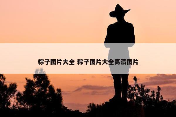 粽子图片大全 粽子图片大全高清图片