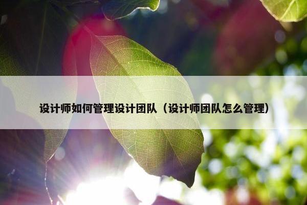 设计师如何管理设计团队（设计师团队怎么管理）