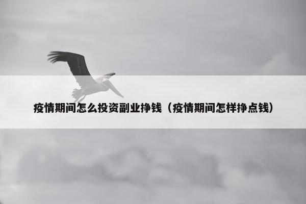 疫情期间怎么投资副业挣钱（疫情期间怎样挣点钱）