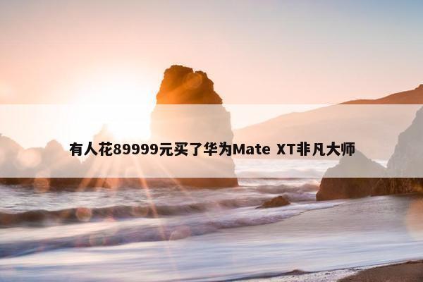 有人花89999元买了华为Mate XT非凡大师