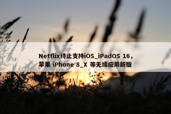 Netflix终止支持iOS_iPadOS 16，苹果 iPhone 8_X 等无缘应用新版