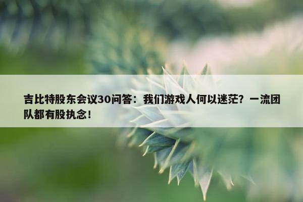 吉比特股东会议30问答：我们游戏人何以迷茫？一流团队都有股执念！