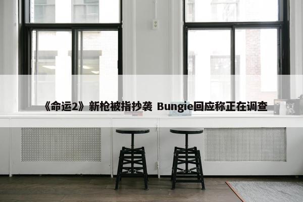 《命运2》新枪被指抄袭 Bungie回应称正在调查