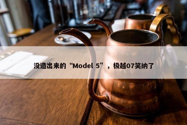 没造出来的“Model 5”，极越07笑纳了