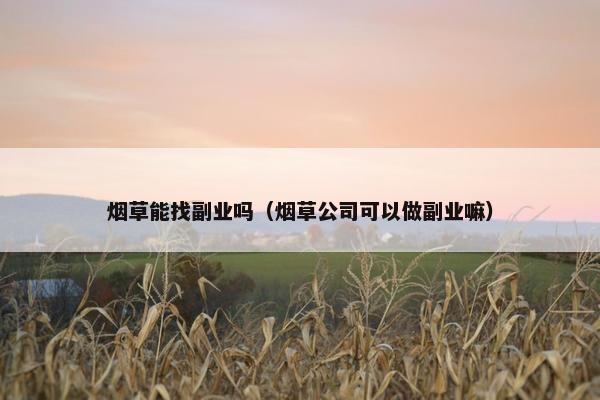 烟草能找副业吗（烟草公司可以做副业嘛）