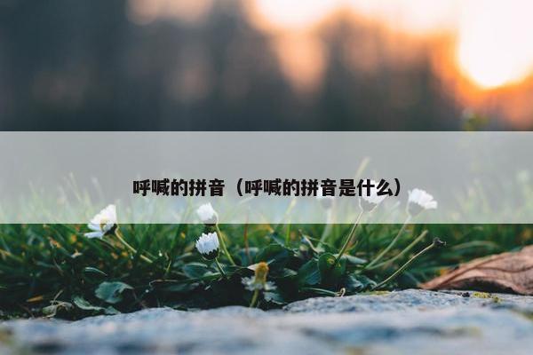 呼喊的拼音（呼喊的拼音是什么）