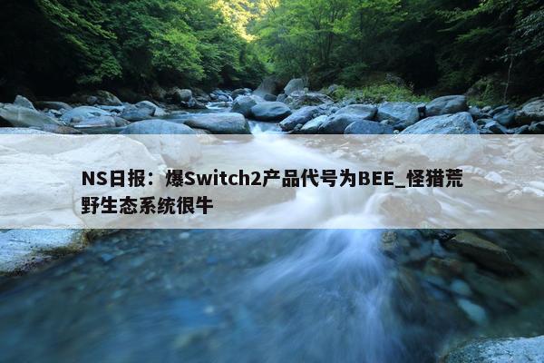 NS日报：爆Switch2产品代号为BEE_怪猎荒野生态系统很牛