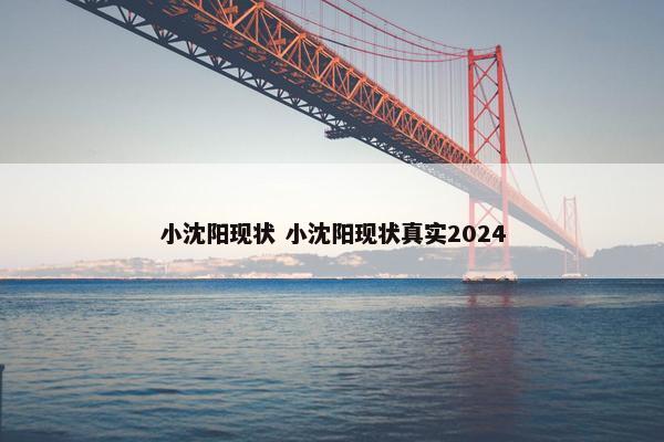 小沈阳现状 小沈阳现状真实2024