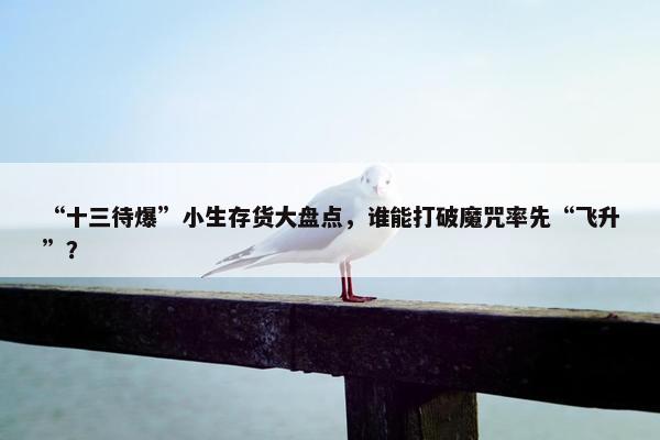 “十三待爆”小生存货大盘点，谁能打破魔咒率先“飞升”？