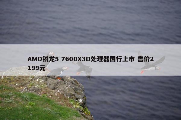 AMD锐龙5 7600X3D处理器国行上市 售价2199元