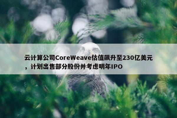 云计算公司CoreWeave估值飙升至230亿美元，计划出售部分股份并考虑明年IPO