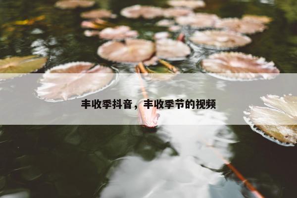 丰收季抖音，丰收季节的视频