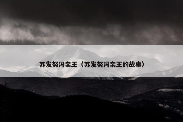 苏发努冯亲王（苏发努冯亲王的故事）