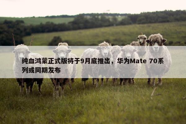 纯血鸿蒙正式版将于9月底推出，华为Mate 70系列或同期发布