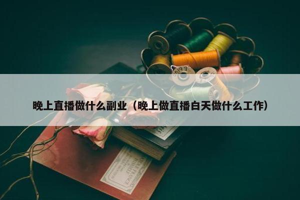 晚上直播做什么副业（晚上做直播白天做什么工作）