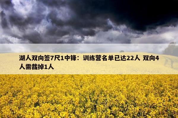 湖人双向签7尺1中锋：训练营名单已达22人 双向4人需裁掉1人