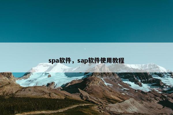 spa软件，sap软件使用教程