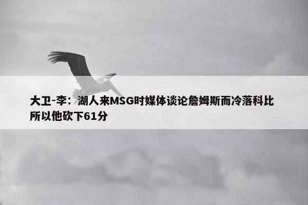 大卫-李：湖人来MSG时媒体谈论詹姆斯而冷落科比 所以他砍下61分