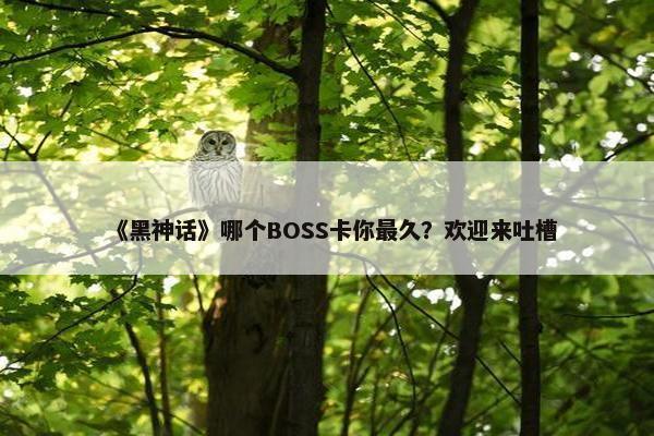 《黑神话》哪个BOSS卡你最久？欢迎来吐槽