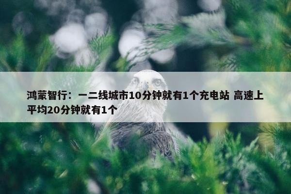 鸿蒙智行：一二线城市10分钟就有1个充电站 高速上平均20分钟就有1个