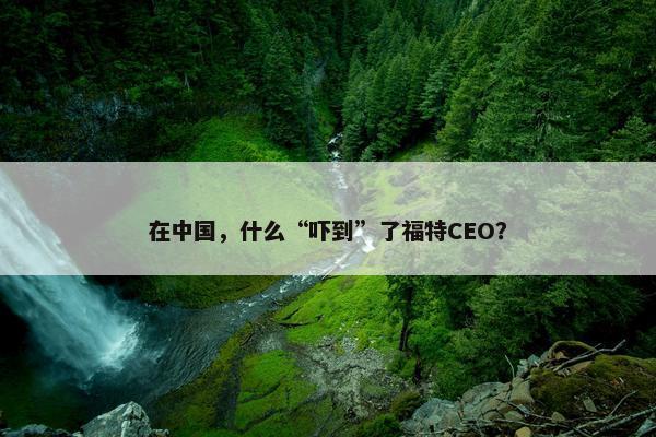 在中国，什么“吓到”了福特CEO？