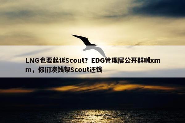 LNG也要起诉Scout？EDG管理层公开群嘲xmm，你们凑钱帮Scout还钱