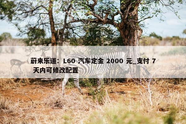 蔚来乐道：L60 汽车定金 2000 元_支付 7 天内可修改配置