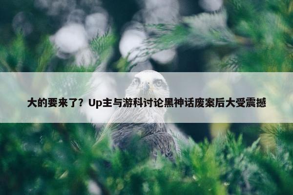 大的要来了？Up主与游科讨论黑神话废案后大受震撼