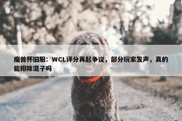 魔兽怀旧服：WCL评分再起争议，部分玩家发声，真的能排除混子吗