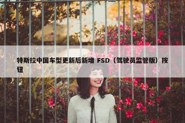 特斯拉中国车型更新后新增 FSD（驾驶员监管版）按钮