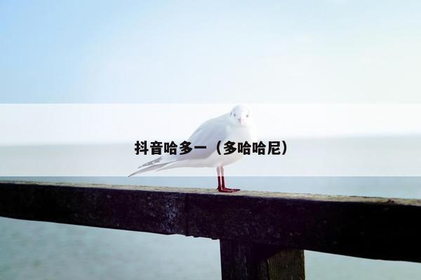 抖音哈多一（多哈哈尼）