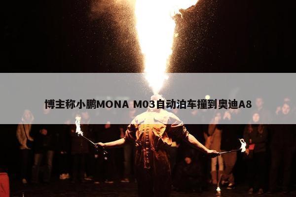 博主称小鹏MONA M03自动泊车撞到奥迪A8