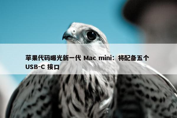 苹果代码曝光新一代 Mac mini：将配备五个 USB-C 接口