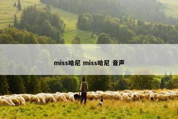 miss哈尼 miss哈尼 音声