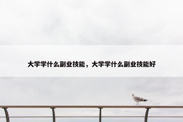 大学学什么副业技能，大学学什么副业技能好