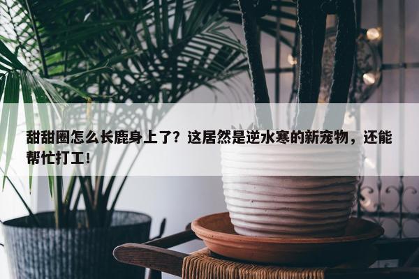 甜甜圈怎么长鹿身上了？这居然是逆水寒的新宠物，还能帮忙打工！