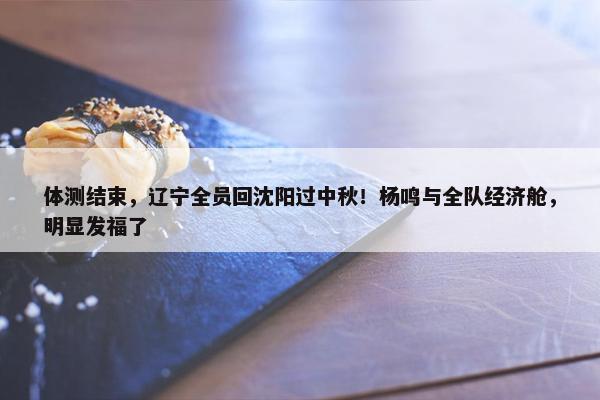 体测结束，辽宁全员回沈阳过中秋！杨鸣与全队经济舱，明显发福了