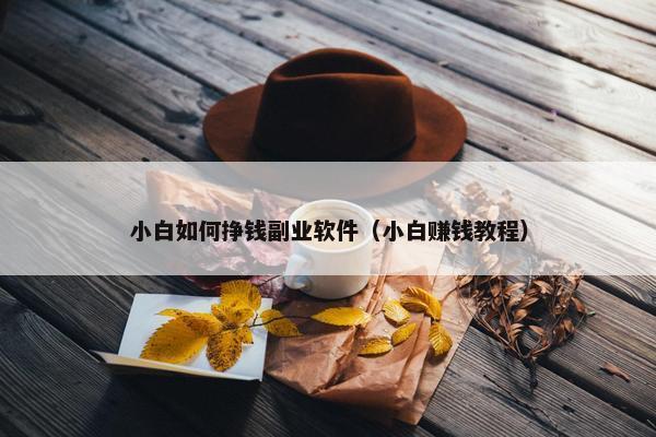 小白如何挣钱副业软件（小白赚钱教程）