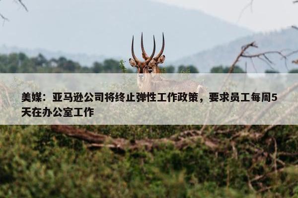 美媒：亚马逊公司将终止弹性工作政策，要求员工每周5天在办公室工作