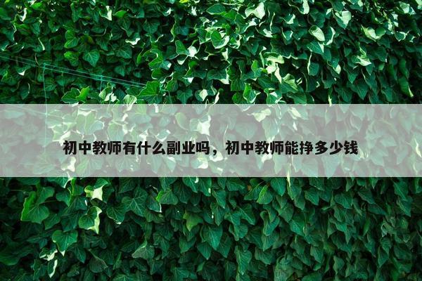 初中教师有什么副业吗，初中教师能挣多少钱