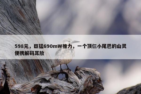 598元，巨猛690mW推力，一个顶仨小尾巴的山灵便携解码耳放