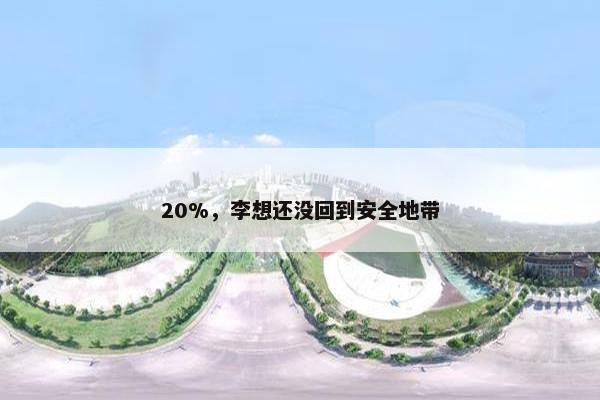 20%，李想还没回到安全地带