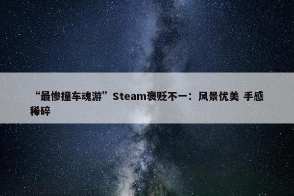 “最惨撞车魂游”Steam褒贬不一：风景优美 手感稀碎