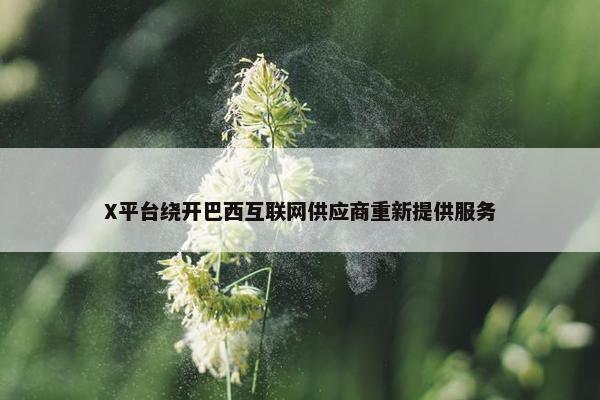 X平台绕开巴西互联网供应商重新提供服务