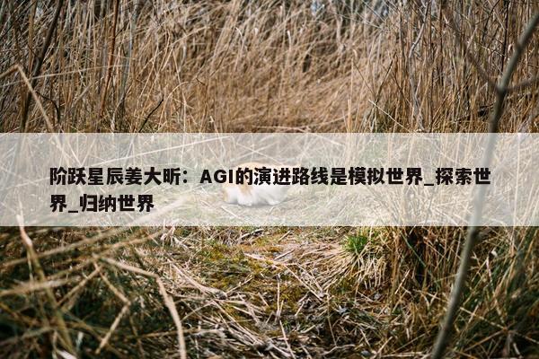 阶跃星辰姜大昕：AGI的演进路线是模拟世界_探索世界_归纳世界